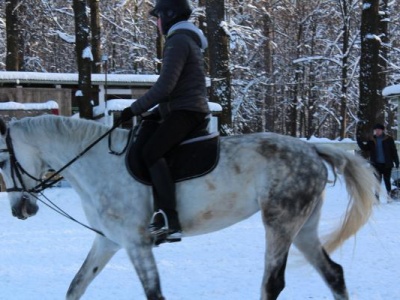 Москва природа и культура