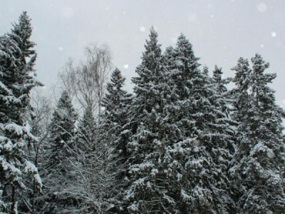 Москва природа и культура