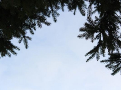 Москва природа и культура