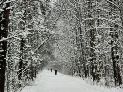 Москва природа и культура